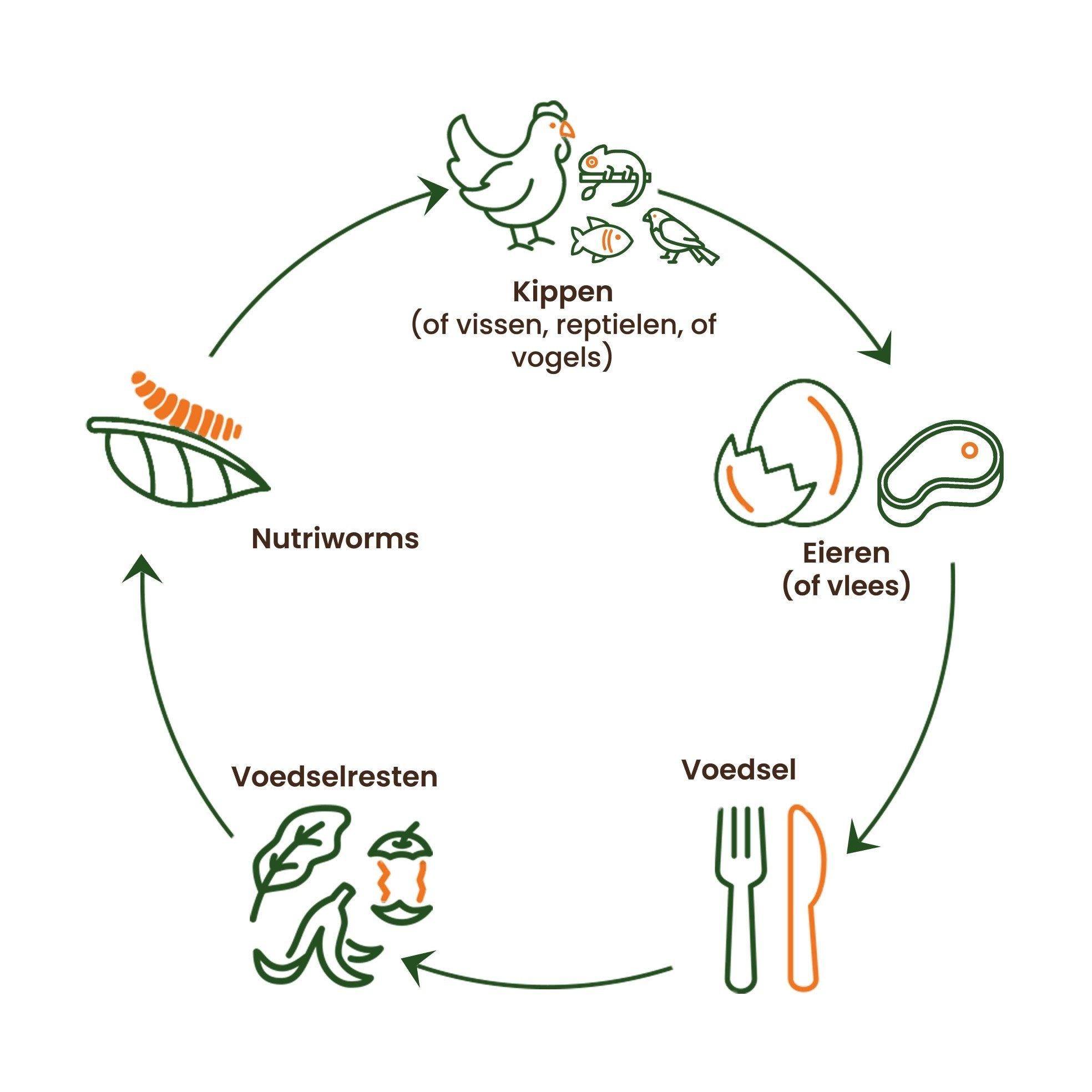 Nutri Worm Voedselkringloop
