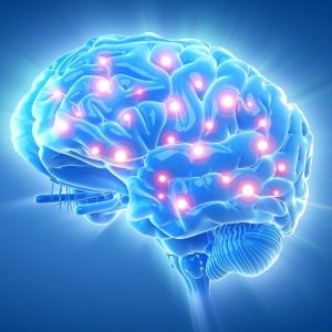 Salvia bioelectronics