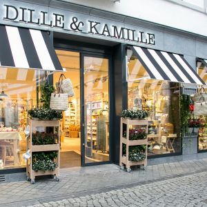 Dille kamille maastricht