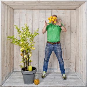 Ivar camps kans limoncello campsello markt