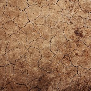 Land grond kopen pixabay