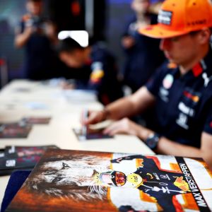 Max verstappen red bull fans formule1