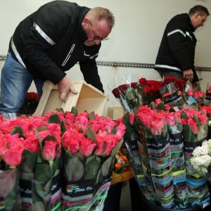Sierteelt bloemen corona crisis