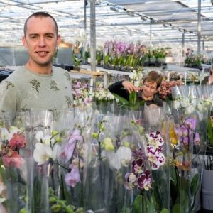 Wilco verhoeven nieuwaal orchidee stopt