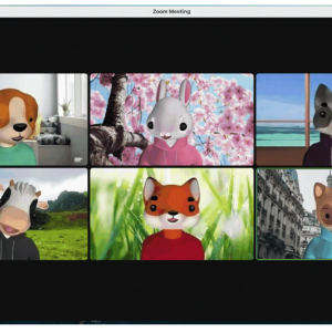 Zoom videocall dieren