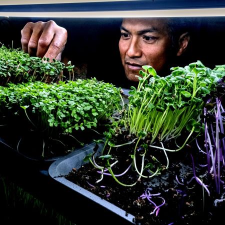 Patrick Asmawidjaja plantjes