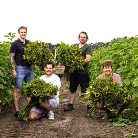 Pluukz Maakt Mij Blij veld