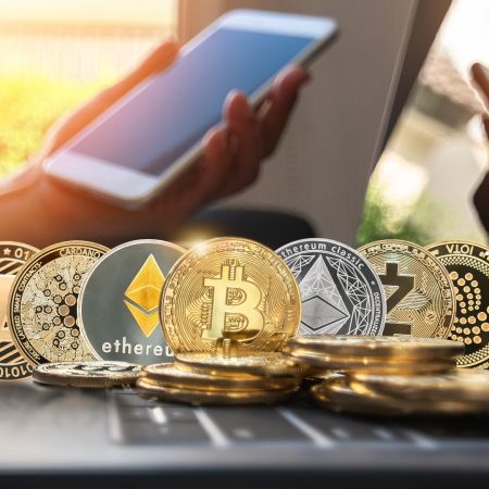 Cryptomunt rotterdam 010coin cryptocurrency