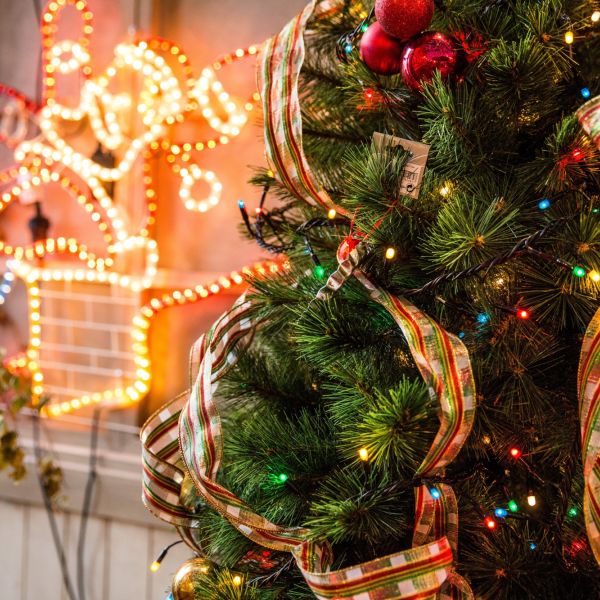 Kerstboom steeds eerder thuis
