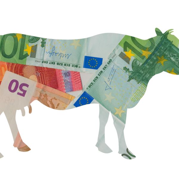 Ondernemer melkkoe geld schuld corona jacco vonhof mkb