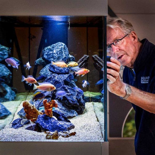 Vissen kantoor aquarium lease kantoortuin erik rood Aquarium Verhuur