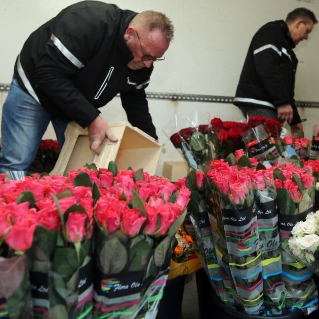 Royal flora holland medewerkers