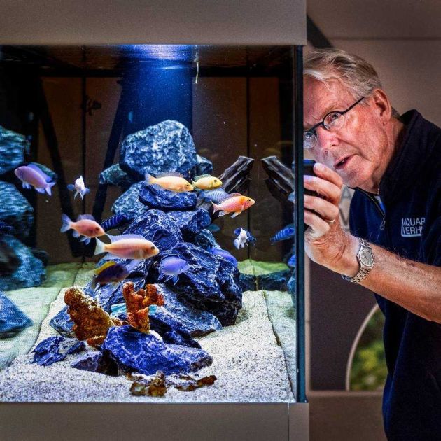 Vissen kantoor aquarium lease kantoortuin erik rood Aquarium Verhuur
