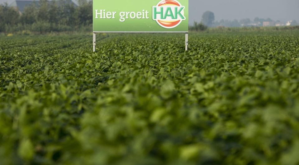 ANP111122238 1