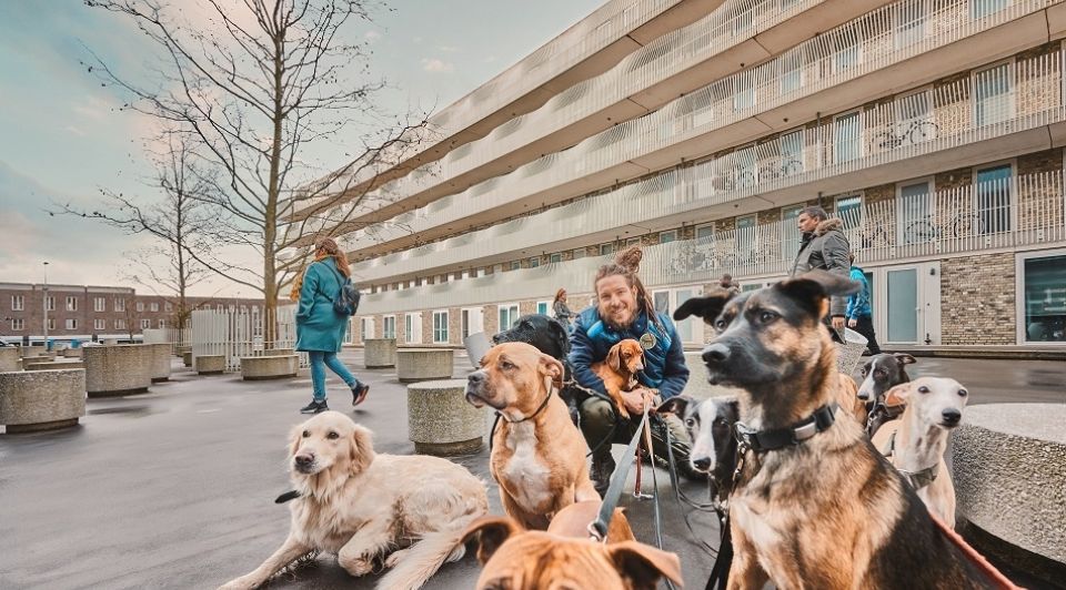 BD Ondernemer deze tips helpen bij belastingaangifte