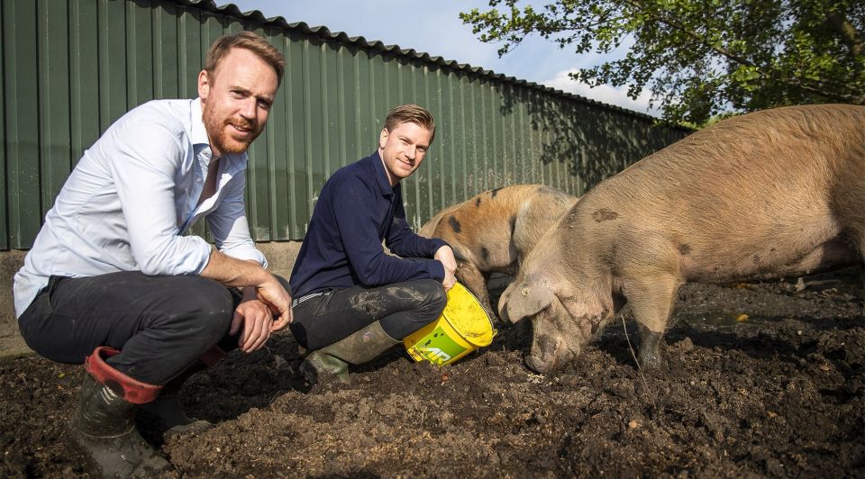 Meatable ondernemers varkens