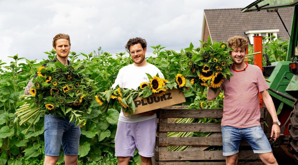 Ton Frank Thibaud zonnebloemen ouderen