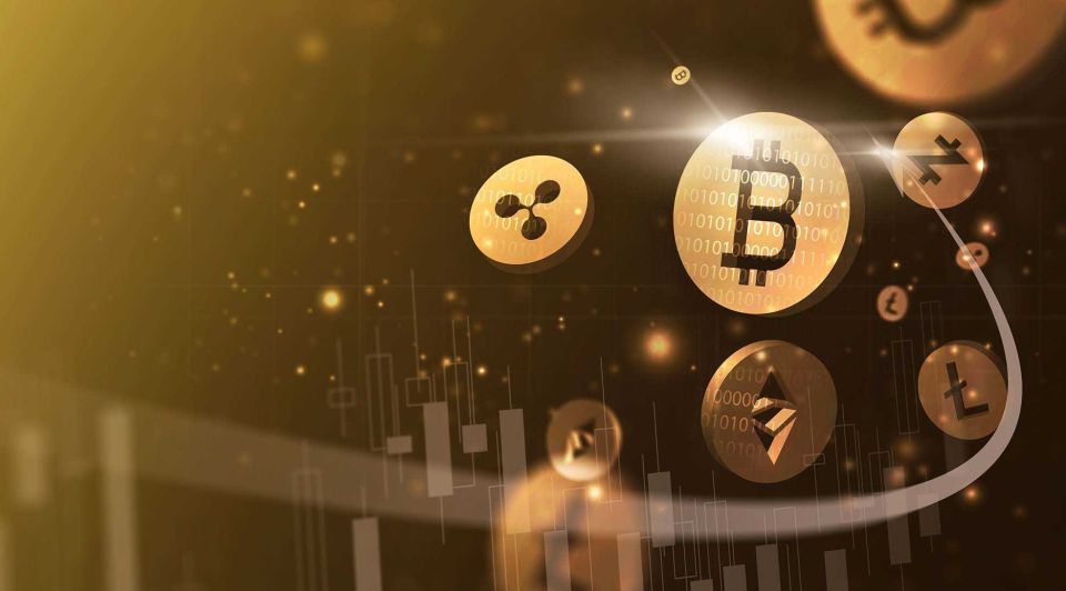 Crypto 2021 devin schoor