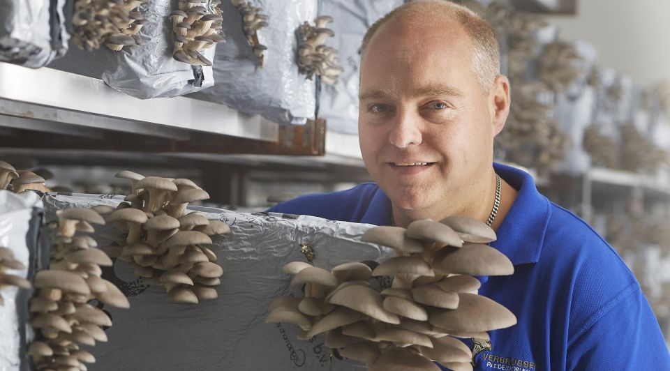 John verbruggen paddestoelen visa