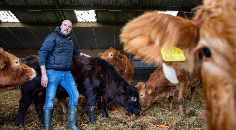 Leon moonen kweekvlees crole natuurrund