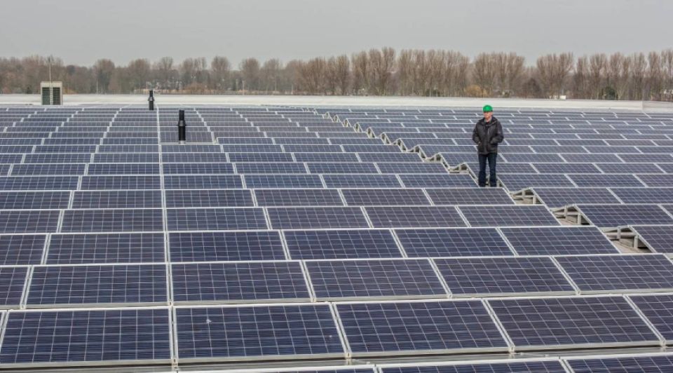 Westland stroomnet congestie zonnepanelen elektriciteit