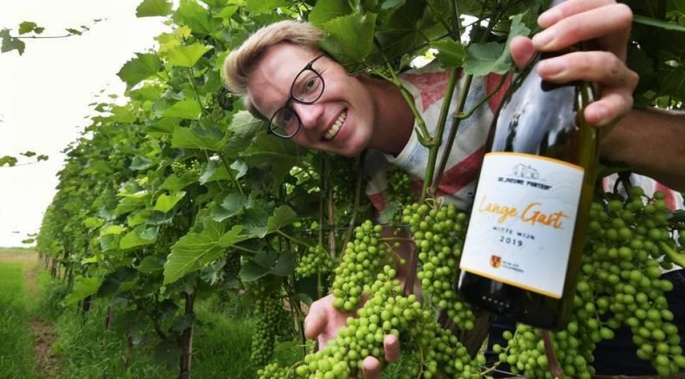 Wijn wijnboer sander kroeze culemborg