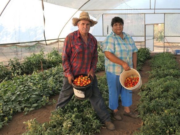 Winnaar MKB Innovatie Top 100 2018 Groasis duurzaamheid milieu growboxx steenbergen mexico boer droogte 6