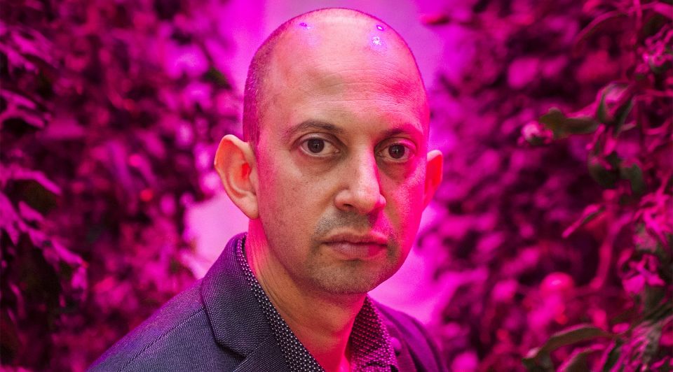 David Wallerstein4