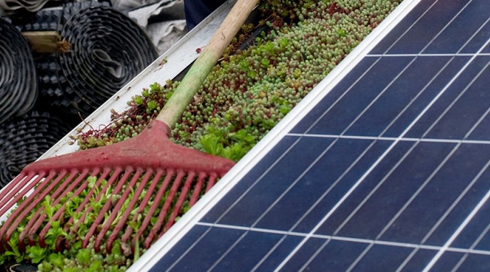 Dutch Greenhof vegatiedaken Frans Nikkels
