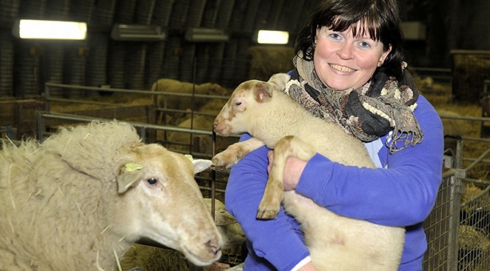 Herder Adoptieplan