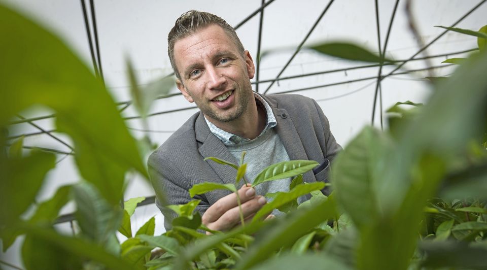 Johan Jansen Theeplanten
