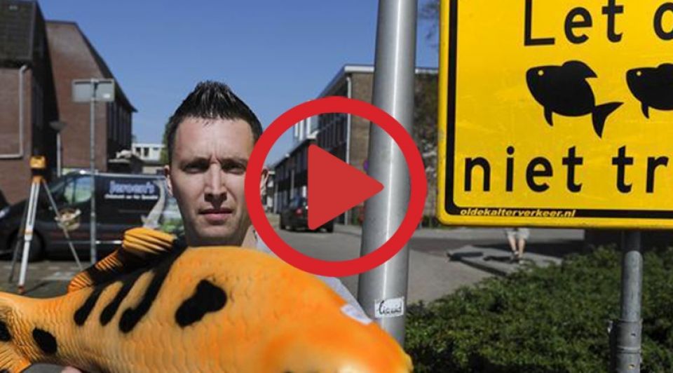Niet trillen 1