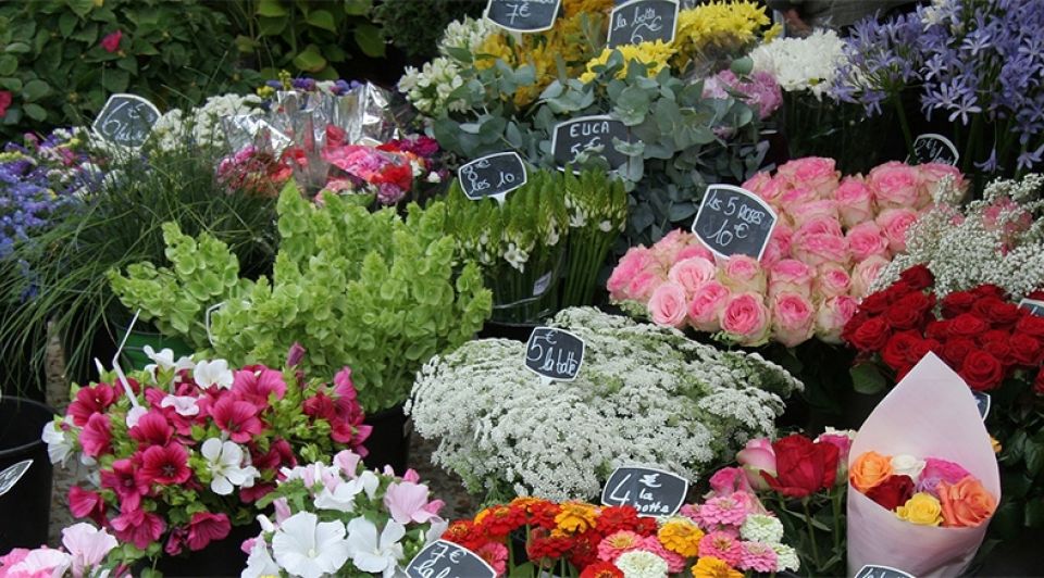 Bloemen 1065 1