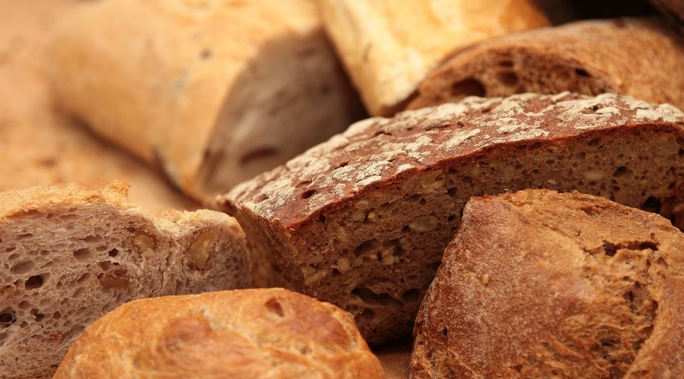 Brood 4