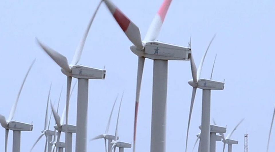 Conflictwindpark1065