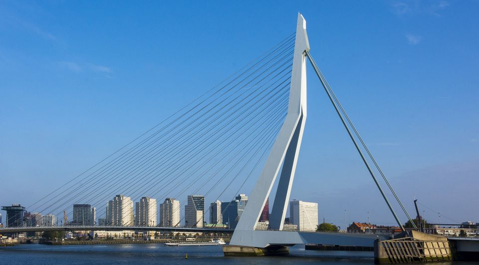 Erasmusbrug rotterdam ondernemers