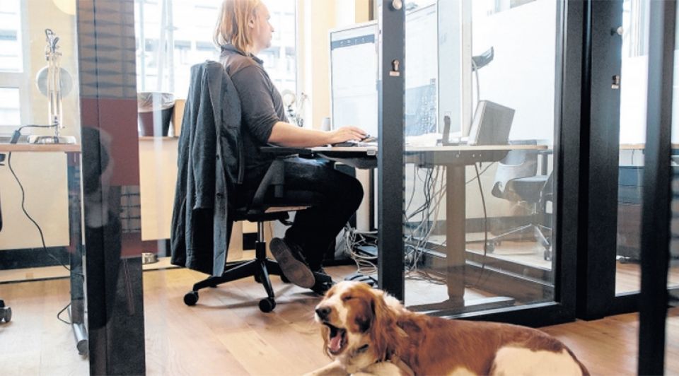 Flexkantorenamsterdamzuidaswework1065