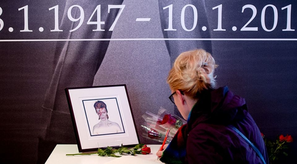 Groningenisbowie1065