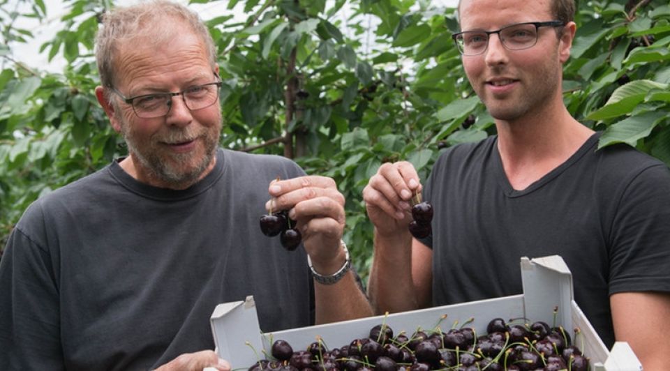 Kersen telers dupe strenge eisen milieukeur bram van de biezen