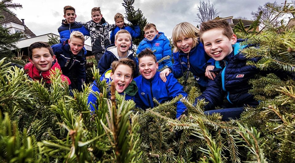 Kerstbomen 6