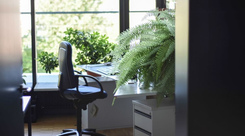 Schoon kantoor clean desk policy comfortabel efficient werken hygiene goede indruk NNTS No Nonsense Technical Solutions Tisser Asito schoonmaak dienst lean Jurre Kuijper eigenaar 2