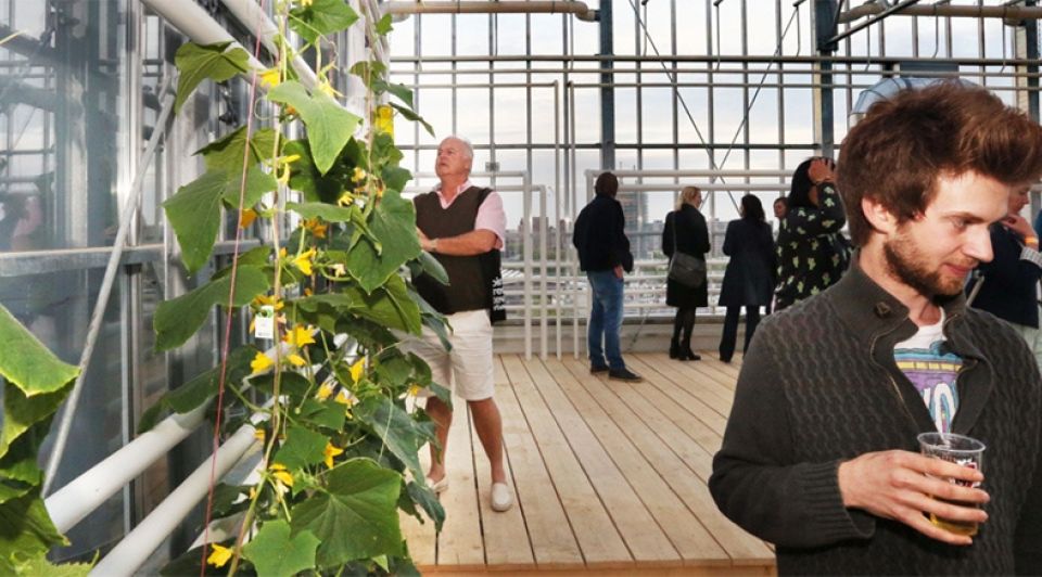 Urbanfarmersstadsboerderijdenhaag